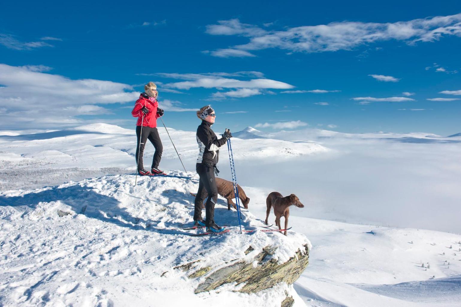 Spidsbergseter Resort Rondane Venabygd Bagian luar foto