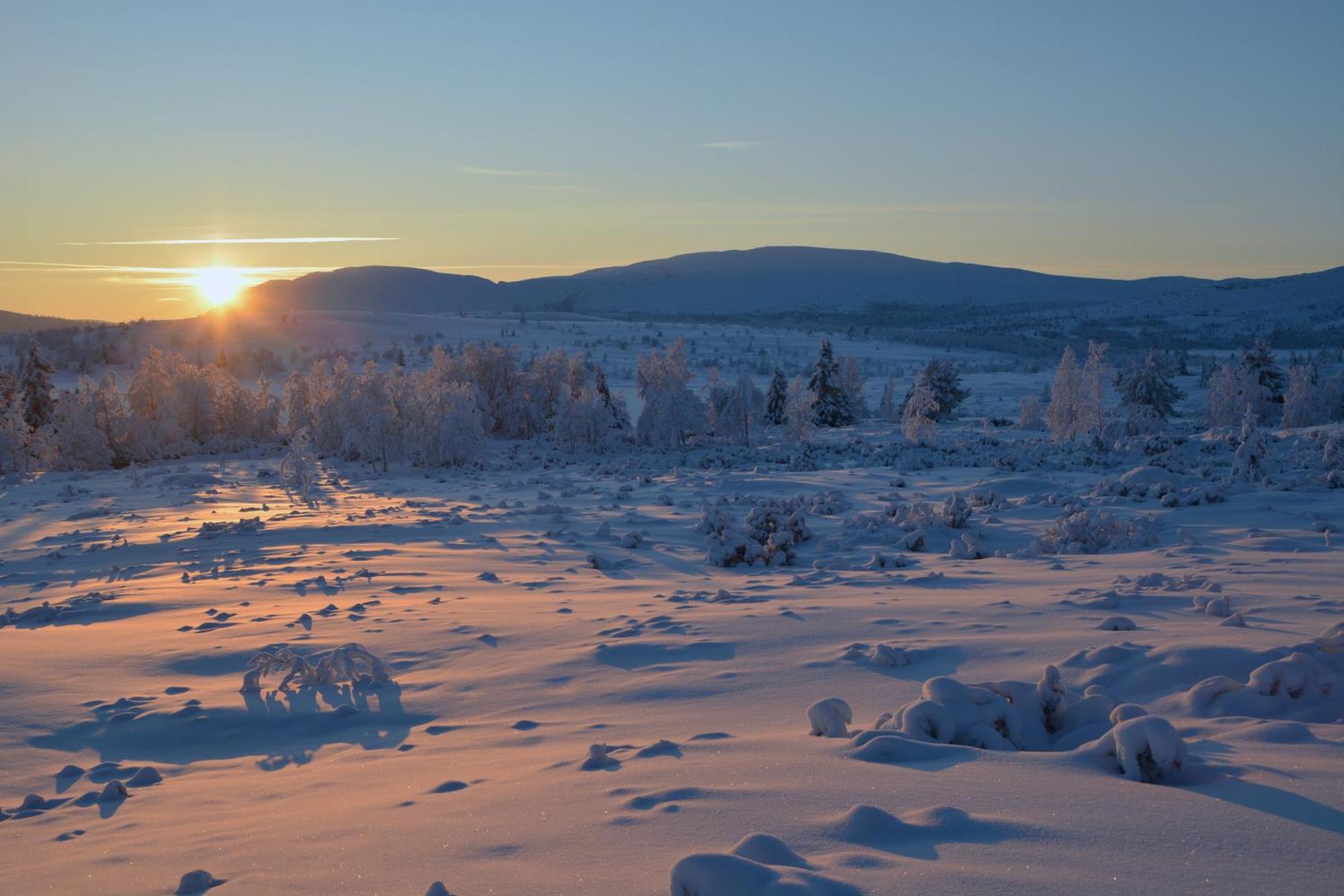 Spidsbergseter Resort Rondane Venabygd Bagian luar foto