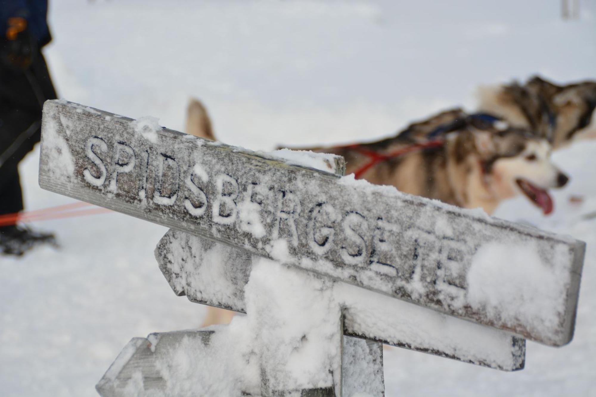 Spidsbergseter Resort Rondane Venabygd Bagian luar foto