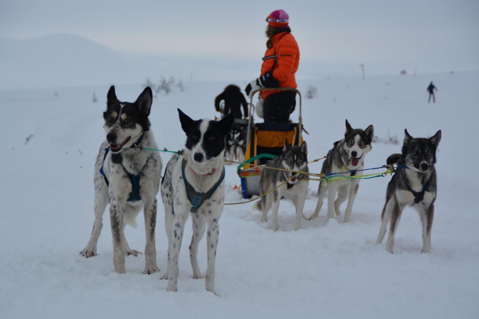 Spidsbergseter Resort Rondane Venabygd Bagian luar foto